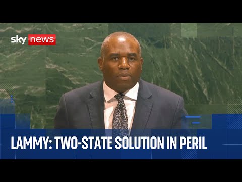 Foreign Secretary David Lammy addresses two-state solution summit in New York