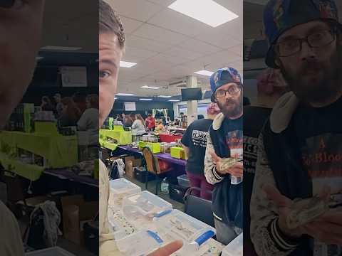 A LIZARD withOUT LEGS!?! #learn #snake #lizard #reptile #reptileexpo