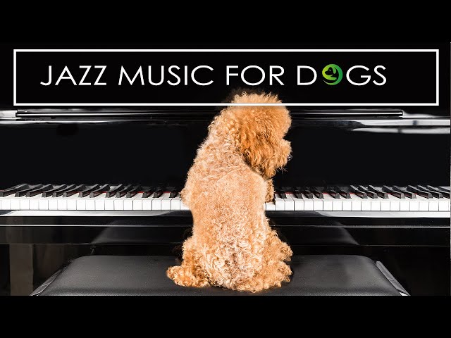 Do Dogs Like Jazz Music?