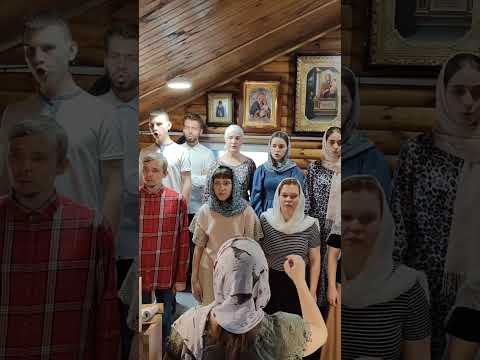 Аллилуйя глас 6 #упц #хор #клірос #церковноепение
