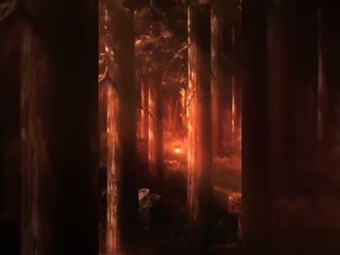 chào ae nhe#edit #anime #kimetsunoyaiba