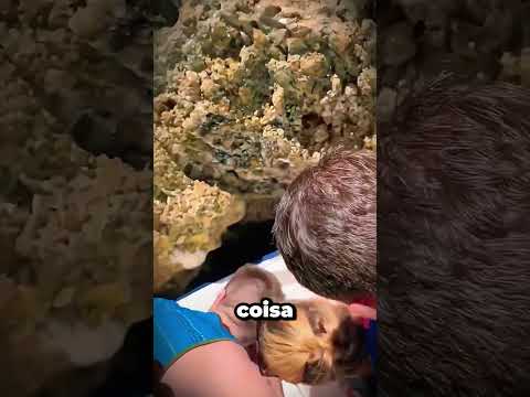 Você teria coragem de entrar nessa caverna?