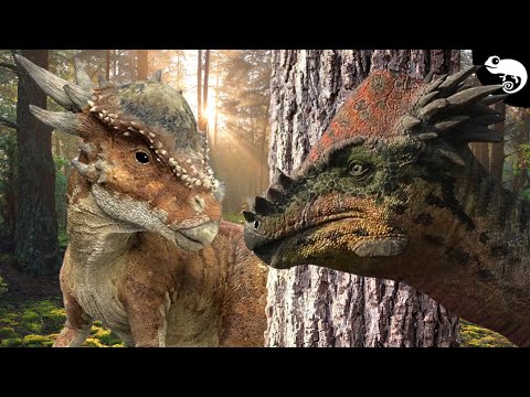 Shrinking Horns, Live Birth, Carnivory & Catastrop Use our code CRR10 or go to https_//dino-survival.com/discount/CRR10?redirect=%2Fproducts%2Fdino-sur
