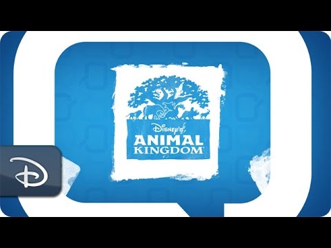 Disney Parks Moms Panel | Planning Tips for Animal Kingdom - UC1xwwLwm6WSMbUn_Tp597hQ