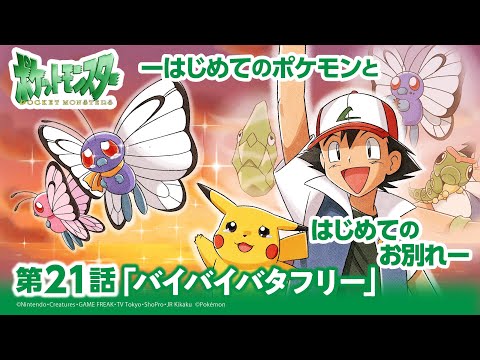 【公式】アニメ「ポケットモンスター」第21話「バイバイバタフリー」（アニポケセレクション）