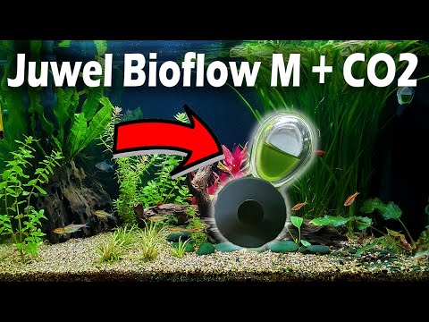 Juwel Bioflow + CO2 - Zugabe (152)