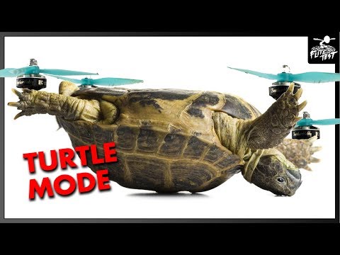 TURTLE MODE - How To Flip Over Your Quad After Crashing | FLITE TEST - UC9zTuyWffK9ckEz1216noAw