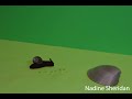 Object Stop Motion