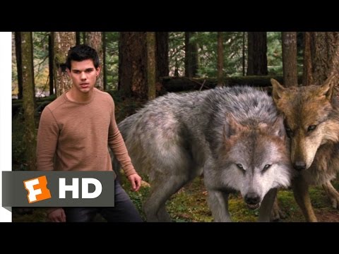 Twilight: Breaking Dawn Part 2 (3/10) Movie CLIP - A Wolf Thing (2012) HD - UC3gNmTGu-TTbFPpfSs5kNkg