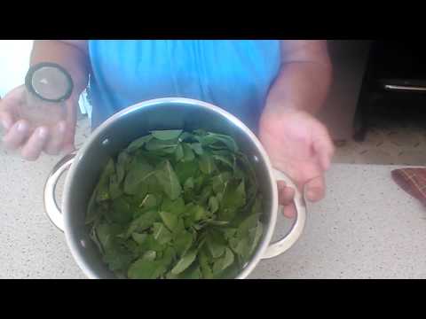 APPLE MINT JELLY START TO FINISH..( FRESHTECH)