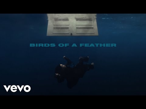 Billie Eilish - BIRDS OF A FEATHER	