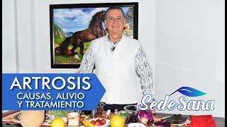 SS62 | ARTROSIS - CAUSAS, ALIVIO, TRATAMIENTO |  LUIS ANTONIO MELÓN GÓMEZ