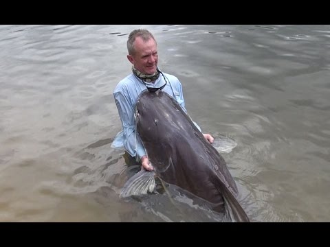 MAN BATTLES GIANT AMAZON RIVER MONSTER - UCrp8aFu6VjkZAY9Hhj6IrXA