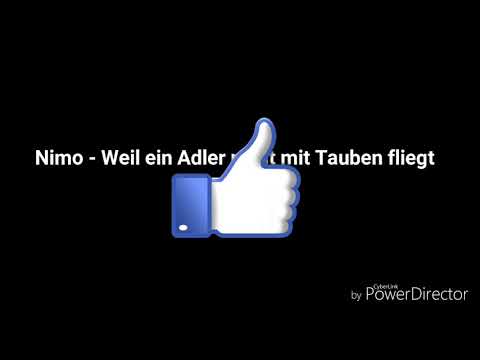 Nimo - Weil ein Adler nicht mit Tauben fliegt
