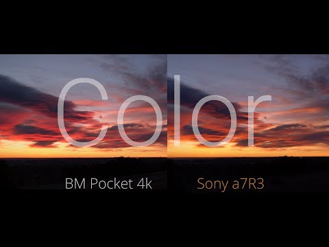 Comparing Colors BMPCC4k vs Sony A7Riii - UCpPnsOUPkWcukhWUVcTJvnA