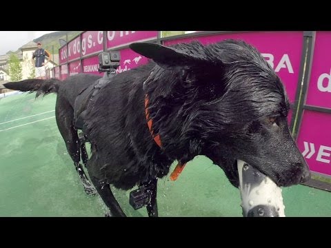 GoPro: Dock Dogs Big Air Course Preview - GoPro Mountain Games 2014 - UCqhnX4jA0A5paNd1v-zEysw