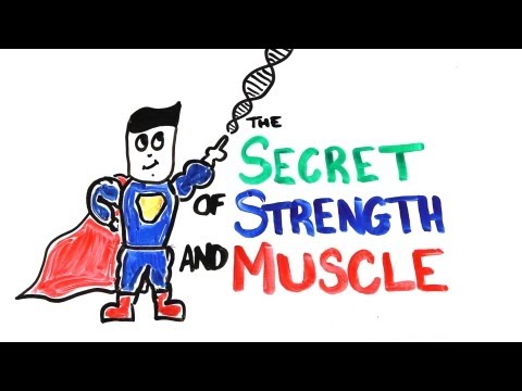 The Scientific Secret of Strength and Muscle Growth - UCC552Sd-3nyi_tk2BudLUzA