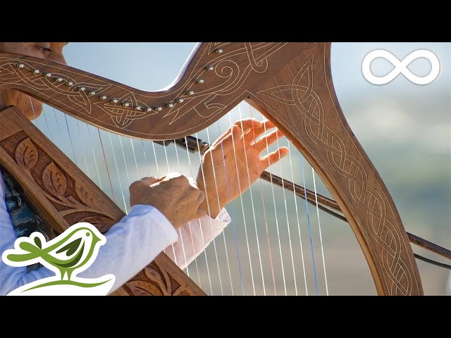 Latin Harp Music to Soothe the Soul