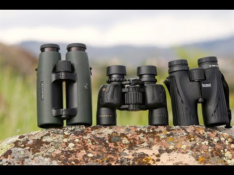 Top 5 Best Binoculars Buy on Amazon 2019 - UCnhTCZp_jbcjzriXiTi1uog