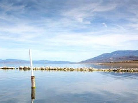 The 404 - 1,503: Where it's safe to make polio jokes - UCOmcA3f_RrH6b9NmcNa4tdg