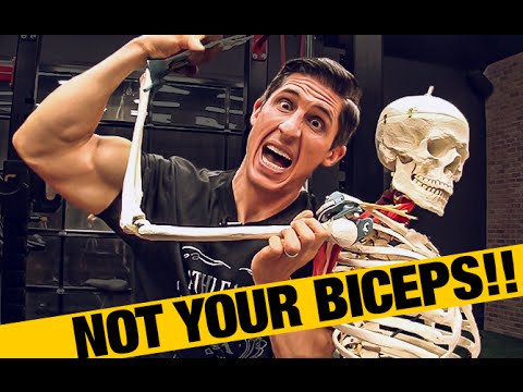 Working Out with Biceps Tendonitis (DON’T SKIP BICEPS!) - UCe0TLA0EsQbE-MjuHXevj2A