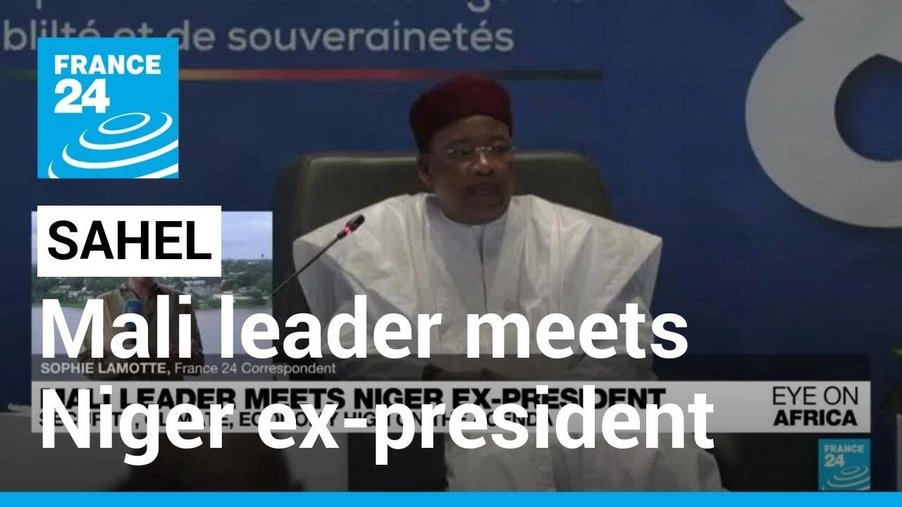 Security, climate, economy on the agenda as Mali leader meets Niger ex-president • FRANCE 24