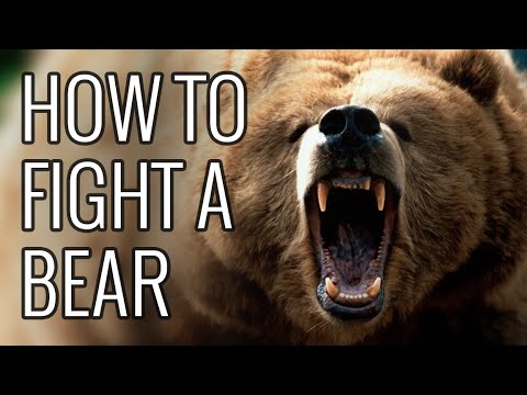 How To Fight A Bear - EPIC HOW TO - UCNKcMBYP_-18FLgk4BYGtfw