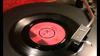 TERRY SCOTT - 'I Like Birds' - 1966 45rpm