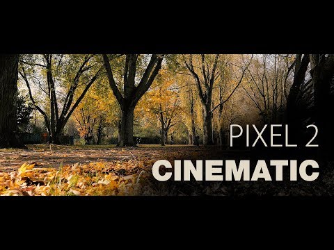 Google Pixel 2: Cinematic 4K Video - UCTU-AvSQopinNy7frk8GtJA