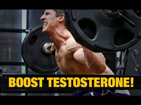 Leg Day “Bro-Science” (SQUATS BOOST TESTOSTERONE!) - UCe0TLA0EsQbE-MjuHXevj2A