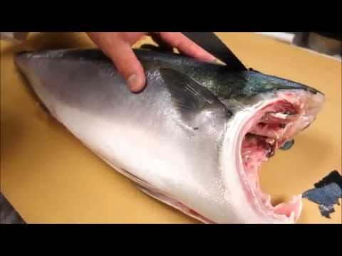 How To Fillet a Whole Hamachi - How To Make Sushi Series - UCbULqc7U1mCHiVSCIkwEpxw