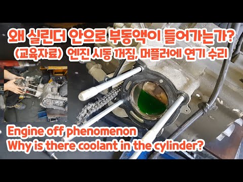 Wie baut man den Motor des Sym Joymax 125 auseinander?
