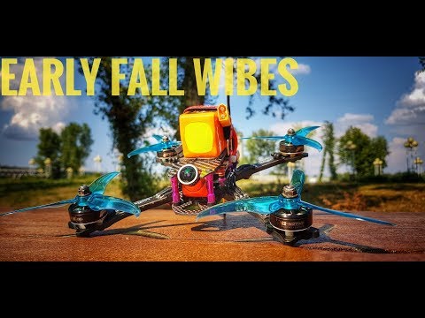 early fall wibes//FPV drone freestyle - UCi9yDR4NcLM-X-A9mEqG8Hw