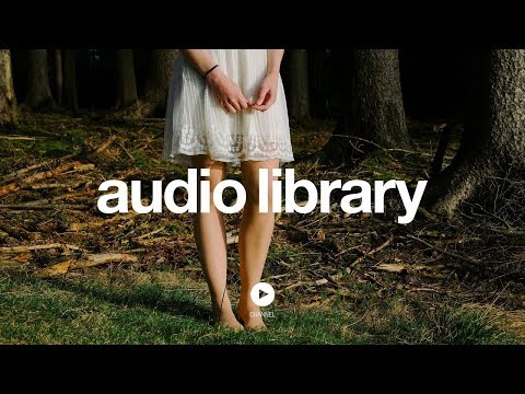 The Woods - Silent Partner (No Copyright Music) - UCht8qITGkBvXKsR1Byln-wA