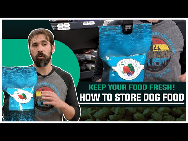 how-to-store-dog-food-to-keep-it-fresh-to-get-ideas