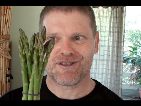 CREAM OF ASPARAGUS SOUP RECIPE - UCGXHiIMcPZ9IQNwmJOv12dQ