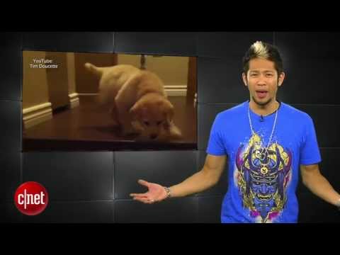 Apple Byte - The State of Apple - UCOmcA3f_RrH6b9NmcNa4tdg