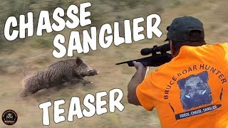 Chasse sanglier 2018