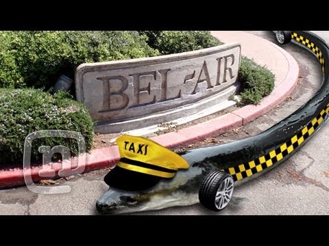 How To Correctly Name A Caballerial Flip - The Amazing Richie Jackson Skateboard Show - UCsert8exifX1uUnqaoY3dqA