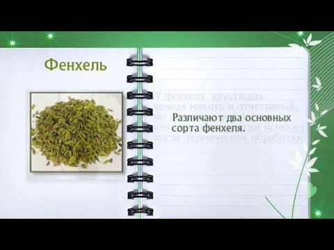 Кулинарная энциклопедия - Фенхель - UC7XBjhXnmmXFsxmnys9PmDQ