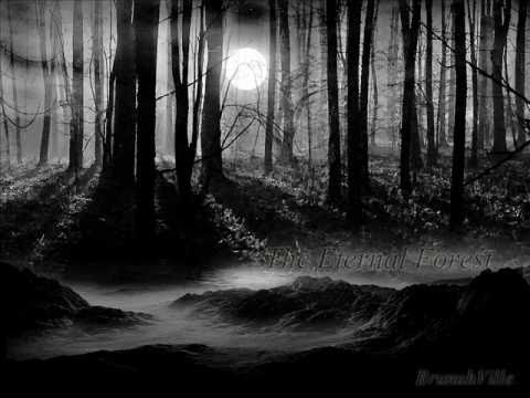 Emotional Dark Music - The Eternal Forest - UCZg2-TZBGrwRbuettVf10uw