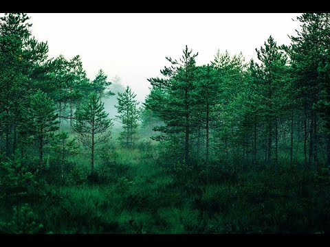 Arthy Myst - Bre petrunko