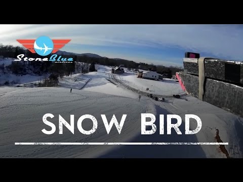 Snow Bird - UC0H-9wURcnrrjrlHfp5jQYA