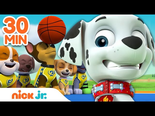 Paw Patrol Basketball – Get Your Pup Moving!