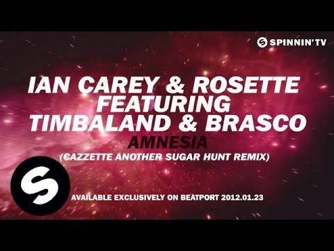 Ian Carey & Rosette feat. Timbaland & Brasco - Amnesia (CAZZETTE Another Sugar Hunt Remix) [Teaser] - UCpDJl2EmP7Oh90Vylx0dZtA