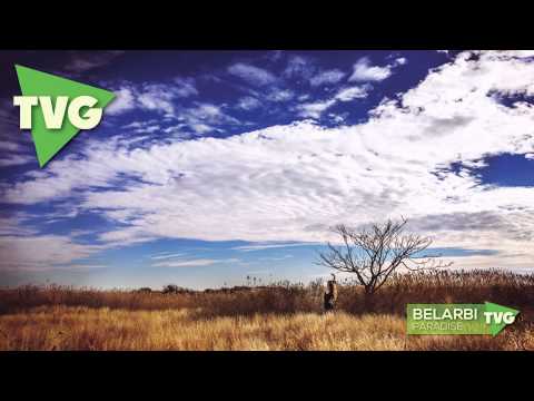 Belarbi - Paradise - UCxH0sQJKG6Aq9-vFIPnDZ2A