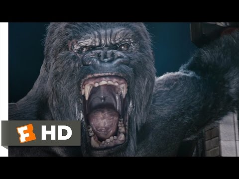 King Kong (6/10) Movie CLIP - Kong's Rampage (2005) HD - UC3gNmTGu-TTbFPpfSs5kNkg