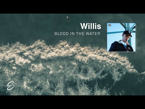 Willis - Blood In The Water - UCqhNRDQE_fqBDBwsvmT8cTg