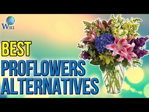 3 Best ProFlowers Alternatives 2017 - UCXAHpX2xDhmjqtA-ANgsGmw