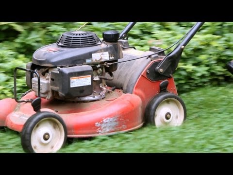 5 Grass Cutting Tips | Lawn & Garden Care - UCSpVHeDGr9UbREhRca0qwsA